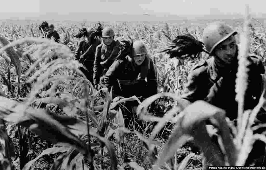 Italijanski Bersaglieri (strijelci), prepoznatljivi po crnom perju koje nose na šljemovima, kreću se kroz polje kukuruza tokom invazije sovjetske Ukranije 1941 koju su vodili nacisti. Italijanske snage koje su se borile u Sovjetskom Savezu uglavnom je zbrisala Crvena armija, a desetine hiljada italijanskih vojnika umrli su u sovjetskom zarobljeništvu.