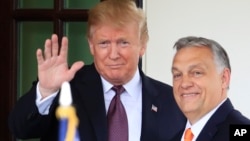 Експрезидент США Дональд Трамп (ліворуч) і голова уряду Угорщини Віктор Орбан мають тісні політичні стосунки, які зміцнювалися протягом багатьох років (фото: зустріч у Вашингтоні 2019 року)