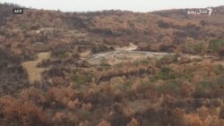  یونانیان د سوځېدلي ځنګل د بیارغونې غوښتنه کوي خو ایا دا ممکنه ده؟