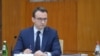 Direktor Kancelarije za Kosovo Vlade Srbije Petar Petković 