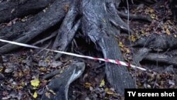 Кадр из фильма Андрея Звягинцева "Нелюбовь"