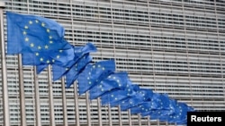 У початковому варіанті проєкту заяви, який має у своєму розпорядженні Білоруська служба Радіо Свобода, йдеться про «недемократичні президентські вибори» в Білорусі