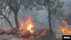 آتش‌سوزی در دشتستان و خائیز تنگستان در سال ۱۳۹۹