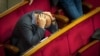 Депутатський імунітет. Потреба чи популізм