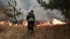 У ДСНС розповіли, як триває гасіння пожеж на Житомирщині та в зоні відчуження