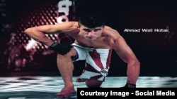 احمد ولي هوتک