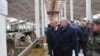 Ілюстрацыйнае фота. Аляксандар Лукашэнка наведвае кароўнік малочнага комплексу «Сьліжы» ў Шклоўскім раёне, 26 сакавіка