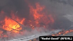 Акс аз бойгонӣ.