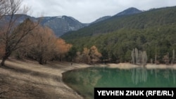 Zeytin-Koş