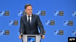 За словами Марка Рютте, «США повністю віддані НАТО, повністю віддані нашим спільним зусиллям щодо України»